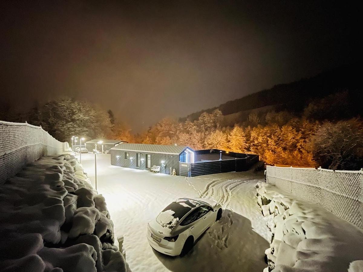 Voralpen Lodge - Ferienhaus Mit Gym & Wellnessbereich Traisen エクステリア 写真